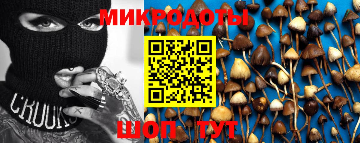Калининград  цены   Вход с VPN  Псилоцибиновые грибы Psilocybine cubensis 